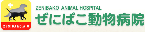 ぜにばこ動物病院 ZENIBAKO ANIMAL HOSPITAL(ZENIBAKO.A.H)